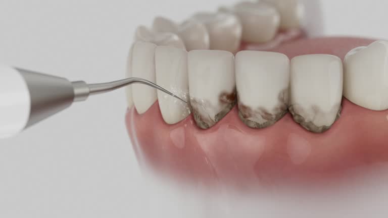 Reliable Dental contractor in McLean County County, IL by Dentist Open Now